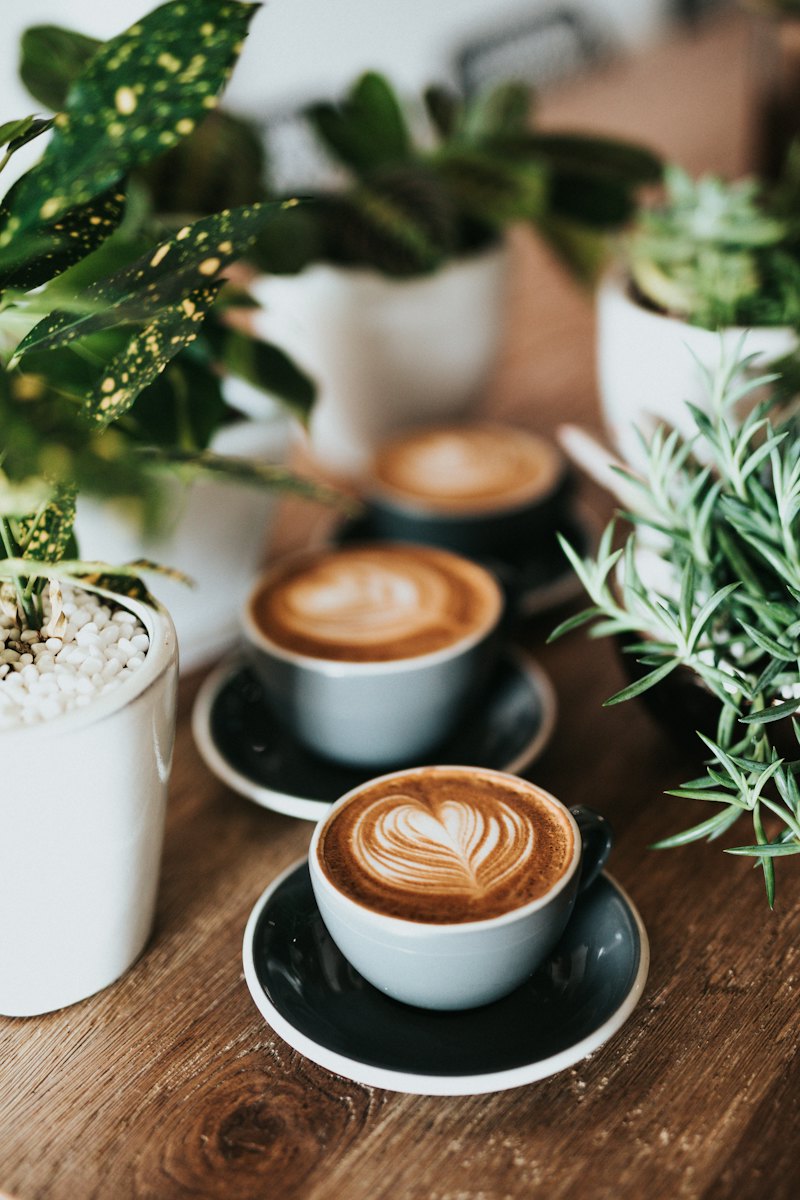 Sample photo: two lattes beside green plants