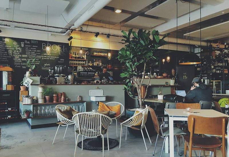 Sample photo: a café counter with a tall fig tree and wicker chairs